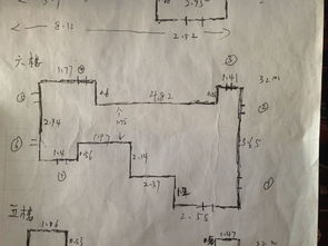 植物尺寸之谜：米还是厘米？