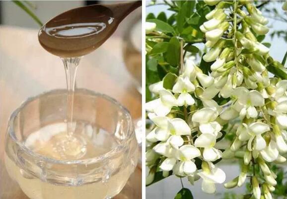 山茶油：缓解烧心，提升生活质量的天然选择