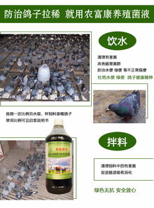 优化农业养殖饮水系统，保障动物健康与生长