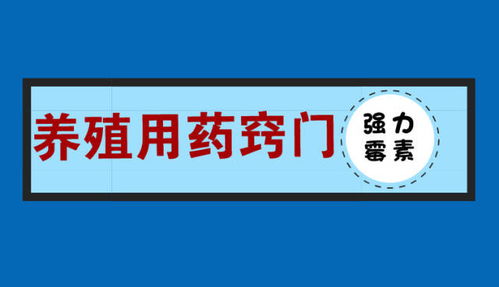 氟苯尼考使用需精准，科学配比
