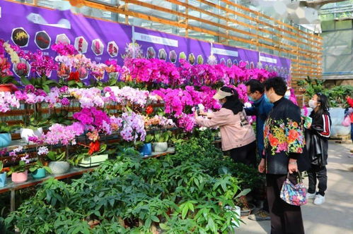 漫步绿意， 感受自然之美