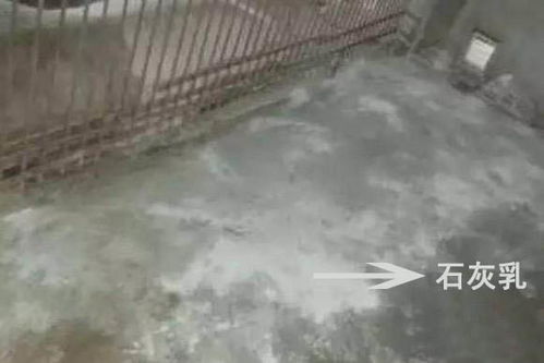 猪舍空气消毒，选对消毒剂与方式