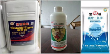 颗粒剂和水剂的奥秘