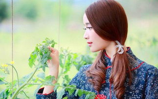 光照：聚财树的阳光小舞曲