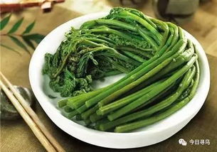 杨铁叶怎么做菜？农村人最爱的野菜做法