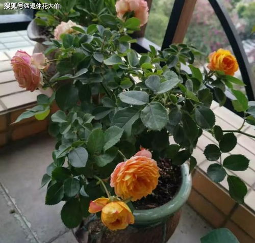 见干见湿的理解