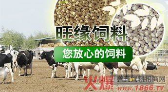 黑龙江十大饲料品牌中，哪家厂家的畜禽饲料最适合我的养殖需求？