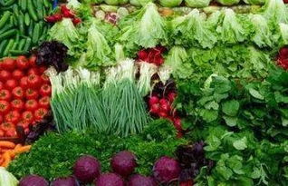 绿色纯天然无公害蔬菜