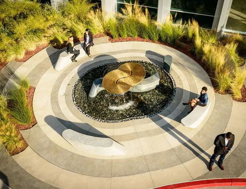 道路与主干道绿化相结合