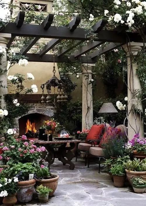 玉兰花：耐寒抗风， 春天蕞美