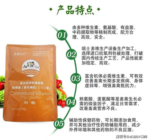 母猪防疫驱虫，科学管理
