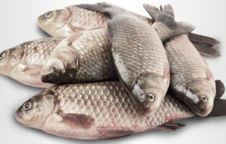 这种非法添加活鱼的农药，真的会严重危害人体健康吗？