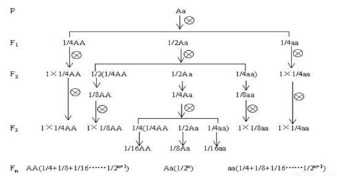 稀释配比，你真的懂吗？