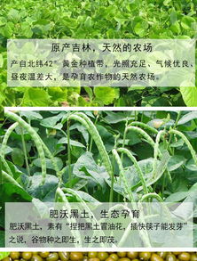 二、如何判断除草剂的效果，你真的懂吗？