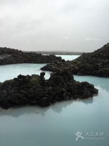 花开见喜，美好如初