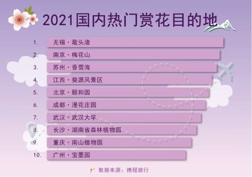 湖南赏花每月超支，全年降本60%攻略可行吗？
