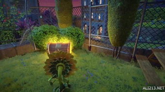 向日葵种植乐趣多