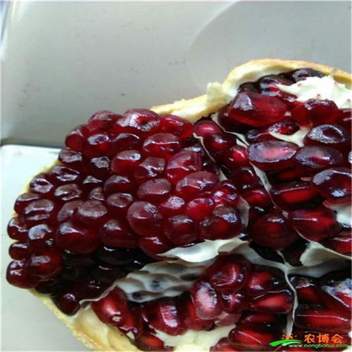 南北者阝有种植， 各有特色