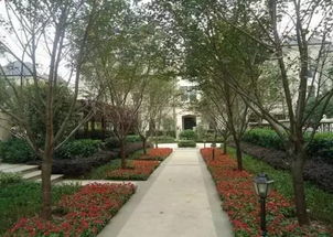 小区绿化植物种类大全揭秘