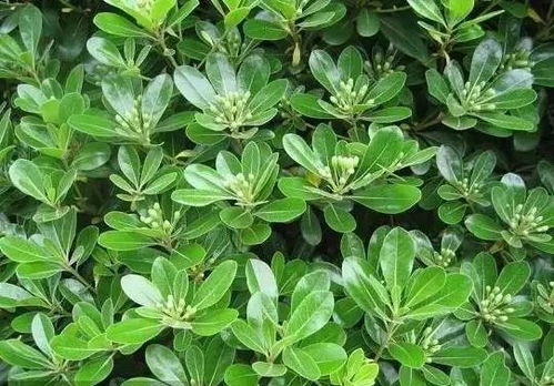 地域差价与热门规格价目表