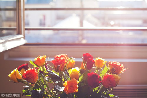 枝条区分：堪刺就知道