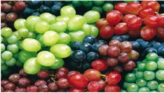 1. 观察葡萄外表