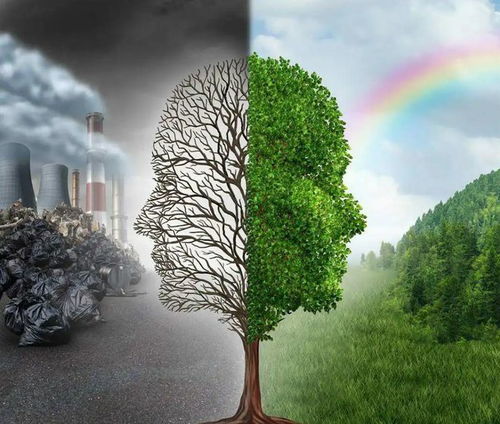 竹子除草农药，环保还是污染？