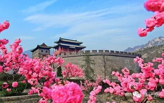 花都24小时开放？这份赏花攻略