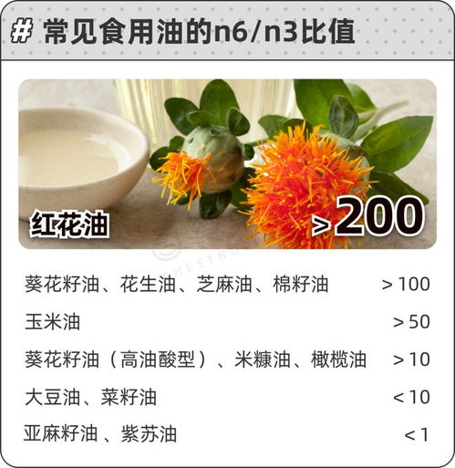 惯与杏仁种子的误解