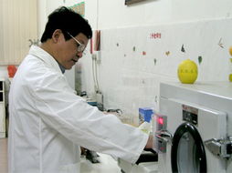 沸水焯一焯，削皮吃一吃