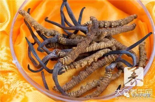 揭秘！天然宝藏——虫草价格飙升背后的农业秘密
