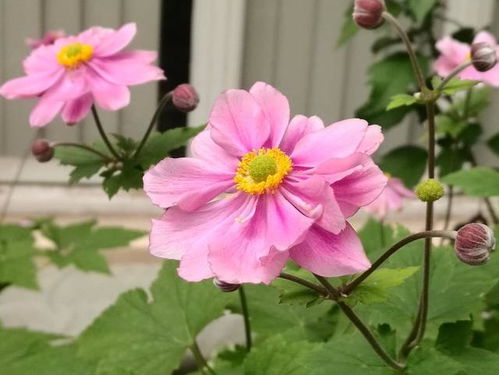 种子发芽那些事儿