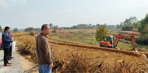 一、 监理的“蓝图”规划