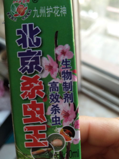 杀虫剂喷洒的注意事项