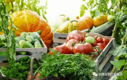 3. 蔬菜水果的废液