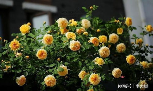 种植时间有讲究