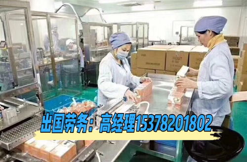 龙口农药工厂招聘，快来加入我们吧！