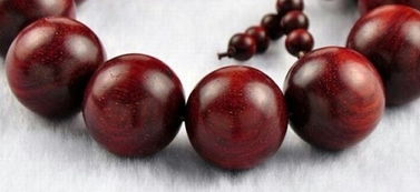 深圳某小区物业2025年11月栽种的50株容器苗， 配合自动喷淋系统，成活率保持100%。但成本比裸根苗高2.7倍。