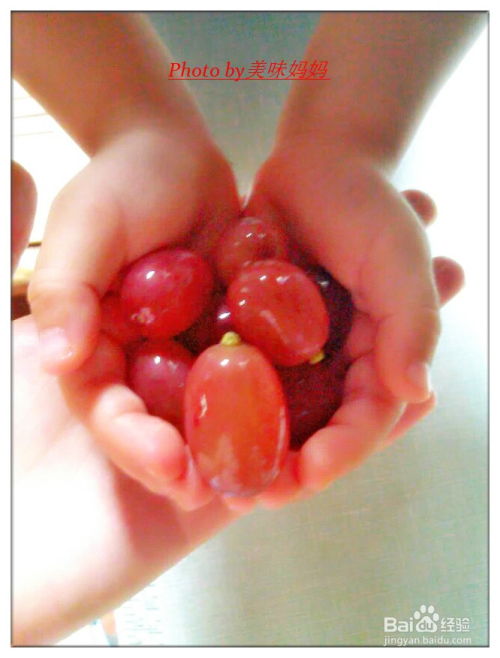 清洗提子的方法