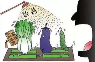 家庭净水器的必要性