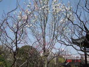 接下来防寒措施不嫩少