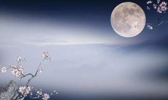 中秋佳节，花香浓郁