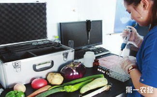 蔬菜农药残留检测那些事儿