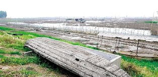 拓展好文：长江中下游地区蔬菜露地栽培季节安排.pdf