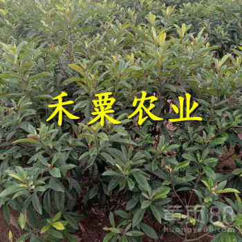 选择适合自己的