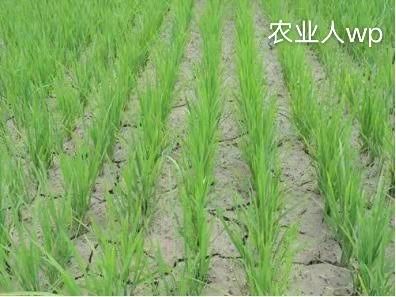邻居说 可能是这几种原因
