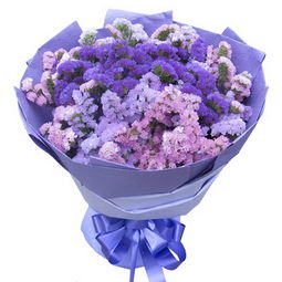 花言草语鲜花店， 诗意浪漫气息