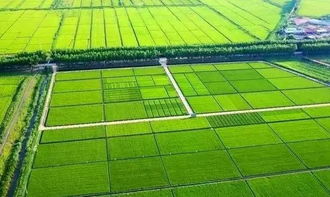 分类讨论，景观工程多面手