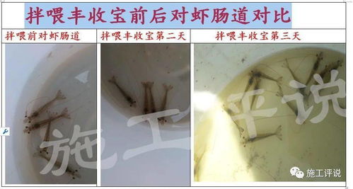 饲料自己会发酵吗？养殖户能简单自制发酵饲料吗？