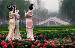 亲水平台、 花廊、园亭，好惬意